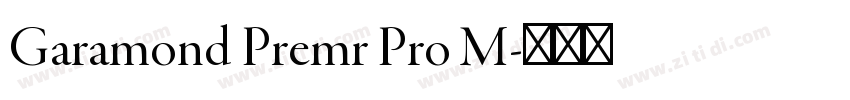 Garamond Premr Pro M字体转换